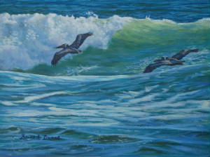 Seascapes/Pelican-Skimmers.jpg