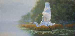 Wildlife/Flying-Egret-light.jpg