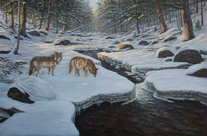 Wildlife/Rocky-River-Wolves.jpg
